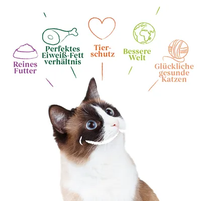 Reines Futter, perfektes Eiweiss-Fett-Verhältnis, Tierschutz, bessere Welt, glückliche gesunde Katzen. Illustration mit Katze und Symbolen.