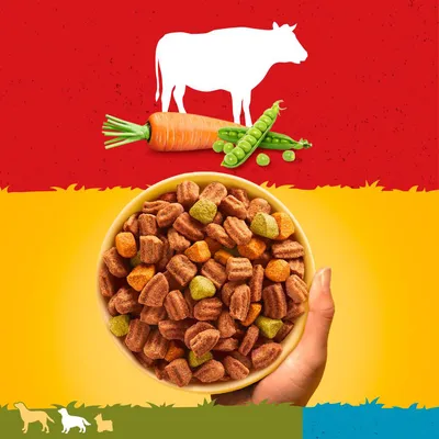 Bowl of dry pet food with visible carrot and pea pieces, cow silhouette above indicating beef content, suitable for various pets as shown by animal icons.