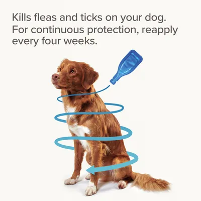 Instructional image showing a dog with text: Kills fleas and ticks on your dog. For continuous protection, reapply every four weeks. Blue applicator and spiral arrow shown.
