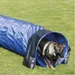 Outdoor Trixie Agility Tunnel