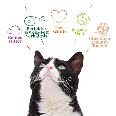 Schwarze Katze mit Text: Reines Futter, Perfektes Eiweiss-Fett-Verhältnis, Tierschutz, Bessere Welt, Glückliche gesunde Katzen.