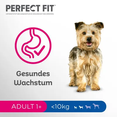 PERFECT FIT, Gesundes Wachstum, ADULT 1+, moins de 10 kg. Texte en allemand. Illustration d’un chien et icône d’estomac avec coche.