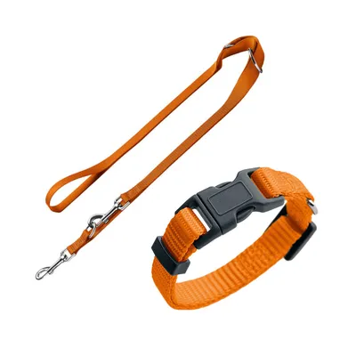 Orangefarbene Hundeleine mit Metallhaken und passendes Halsband mit schwarzer Kunststoffschnalle.