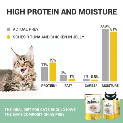 Usporedni graf sastava: Schesir Tuna and Chicken in Jelly ima 15 % proteina, 1 % masti, 0,8 % ugljikohidrata, 81 % vlage; prikaz pakiranja i mačke. Tekst na engleskom jeziku.