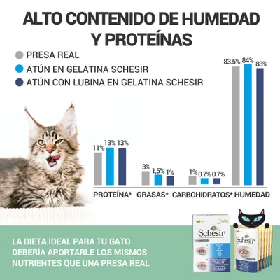 Gráfico comparativo de proteína, grasas, carbohidratos y humedad entre presa real y productos Schesir en gelatina para gatos. Texto: 'La dieta ideal para tu gato debería aportarle los mismos nutrientes que una presa real'.