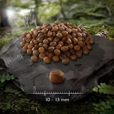 Round brown kibble pieces displayed on a stone surface with a size scale showing 10 to 13 millimetres diameter.