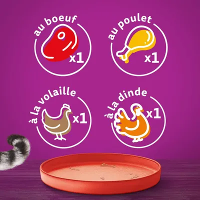 Illustrations avec texte : au bœuf x1, au poulet x1, à la volaille x1, à la dinde x1. Quatre types de viandes indiqués pour un produit animalier.