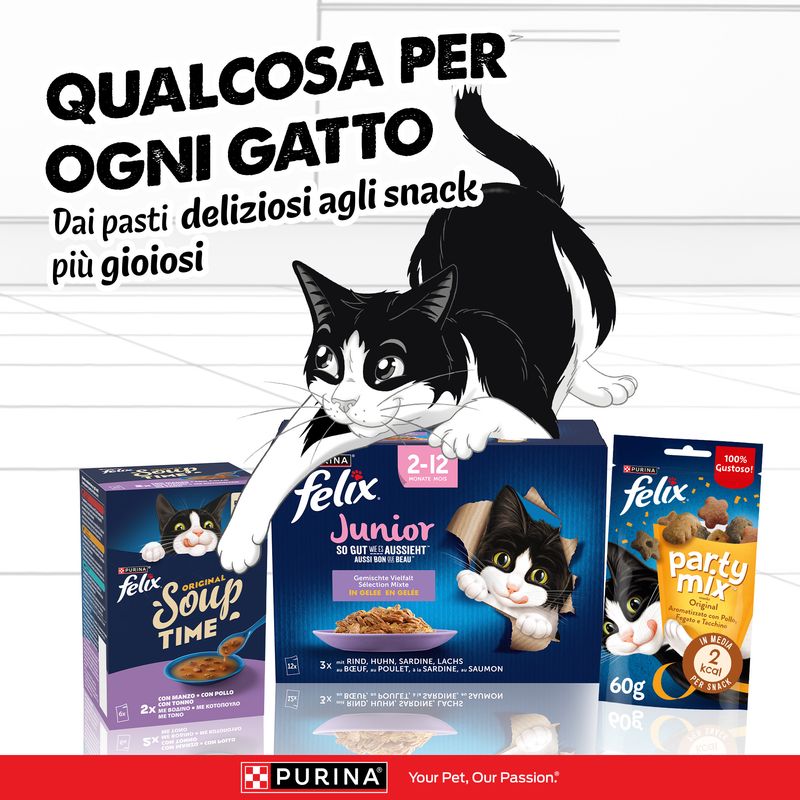 Felix Le Ghiottonerie in Gelatina 44 x 85 g Pacco misto