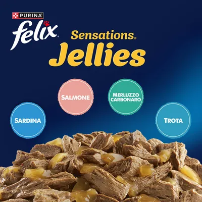 Felix "Sensations" Buste 24 x 85 g - Varietà di mare e fiume in gelatina Felix "Sensations" Buste 24 x 85 g - Varietà di mare e fiume in gelatina
