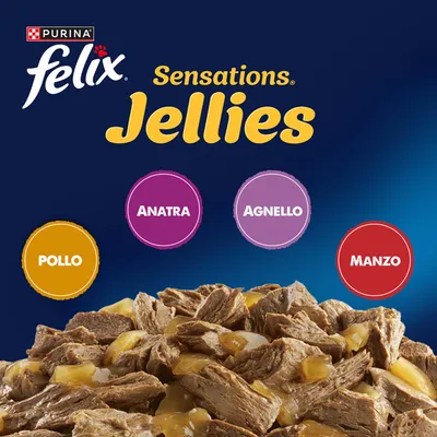 Multipack 120 x 85 g Felix Sensations in Gelatina - Varietà di carne (Manzo, Pollo, Anatra, Agnello) Multipack 120 x 85 g Felix Sensations in Gelatina - Varietà di carne (Manzo, Pollo, Anatra, Agnello)
