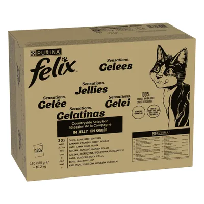 Jumbopack Felix 120 x 80 /85 g pour chat + 44 x 85 g sachets offerts !