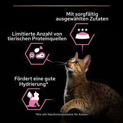 Texte en allemand : Mit sorgfältig ausgewählten Zutaten, Limitierte Anzahl von tierischen Proteinquellen, Fördert eine gute Hydrierung. Chat tigré sur fond noir.