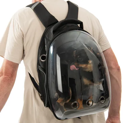 Transparante huisdierenrugzak met kijkvenster en luchtgaten, gedragen door een persoon. Kleine hond zichtbaar binnenin.