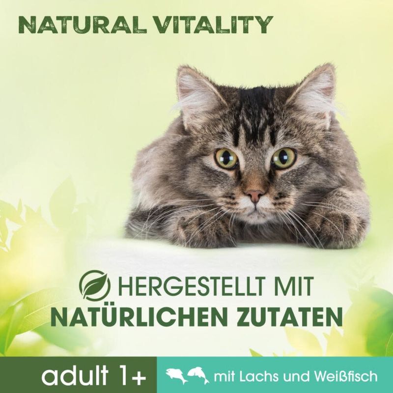 Perfect Fit Natural Vitality Adult 1+ Lachs und Weißfisch