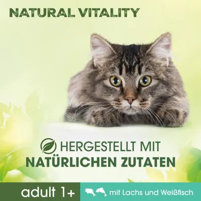 Perfect Fit Natural Vitality Adult 1+ Lachs und Weißfisch