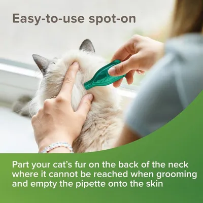 Instruction showing how to apply spot-on treatment by parting fur on the back of the neck and emptying the pipette onto the skin where it cannot be reached when grooming.