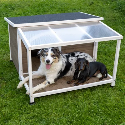 Niche pour chiens en bois avec toit incliné transparent, deux chiens de tailles différentes couchés à l’intérieur, posée sur une pelouse verte.