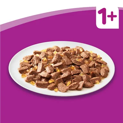 Miska s kousky masového krmiva v omáčce na bílém talíři, v rohu obrázku je symbol 1+