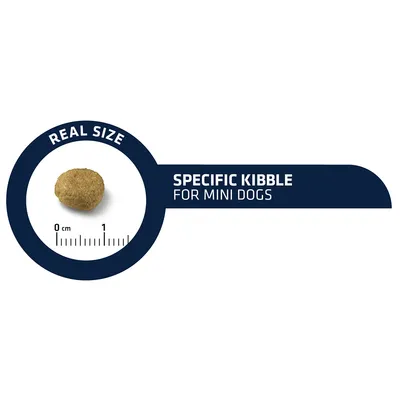 Brokgrootte met liniaal, tekst: REAL SIZE, SPECIFIC KIBBLE FOR MINI DOGS. Brok van circa 1 cm voor mini honden zichtbaar.