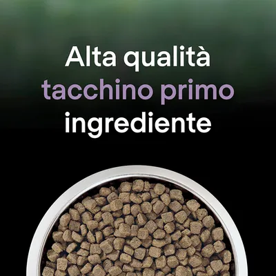 Alta qualità tacchino primo ingrediente, ciotola con crocchette visibile in basso