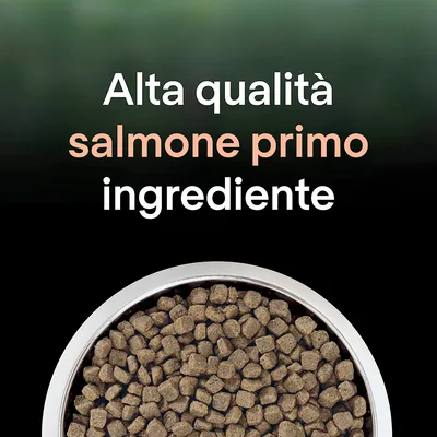 Alta qualità salmone primo ingrediente