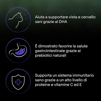 Aiuta a supportare vista e cervello sani grazie al DHA. Favorisce la salute gastrointestinale con prebiotici naturali. Supporta il sistema immunitario con proteine e vitamine C ed E.