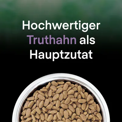 Hochwertiger Truthahn als Hauptzutat. Abgebildet ist eine Schale mit braunen Kroketten.