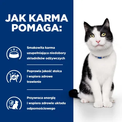 Grafika z trzema zaletami: smaczna karma uzupełnia niedobór składników odżywczych, poprawia jakość stolca i trawienie, przywraca energię oraz wspiera układ odpornościowy. Grafika z trzema zaletami: smaczna karma uzupełnia niedobór składników odżywczych, poprawia jakość stolca i trawienie, przywraca energię oraz wspiera układ odpornościowy.