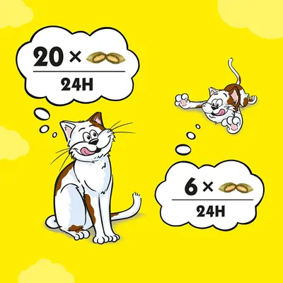 Illustration avec deux chats : l’un pense à 20 portions de croquettes par 24H, l’autre à 6 portions par 24H. Indique des quantités d’alimentation différentes selon le chat.