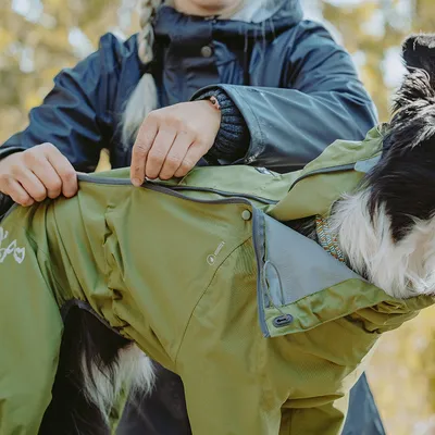 Person sätter på en hund en grön outdoor-jacka med dragkedja. Synliga detaljer: logotyp och vattenavvisande material.