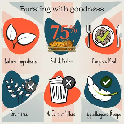 Natural ingredients, 75% British protein, complete meal, grain free, no junk or fillers, hypoallergenic recipe. Bursting with goodness.