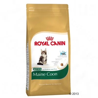 Saco de pienso Royal Canin Kitten Maine Coon, con imagen de un gatito y texto visible: 'Up to 15 months old', 'Feline Breed Nutrition'.