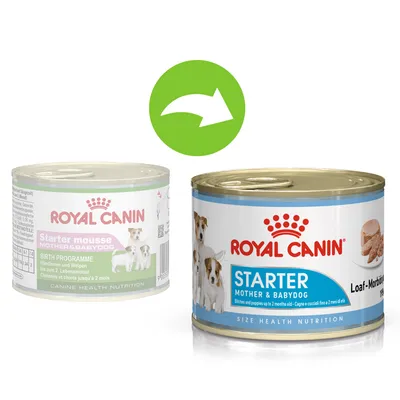 Royal Canin Starter Mother & Babydog natvoer: oude verpakking met roze label en nieuwe verpakking met blauw label, beide met hondenafbeelding zichtbaar.