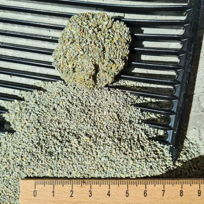 Clumping cat litter on a black scoop, next to a ruler for size reference.