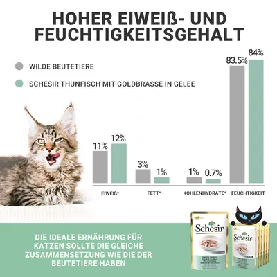 Hoher Eiweiss- und Feuchtigkeitsgehalt. Vergleich: Wilde Beutetiere vs. Schesir Thunfisch mit Goldbrasse in Gelee. Ideale Ernährung für Katzen wie Beutetiere. Schesir Verpackungen abgebildet.