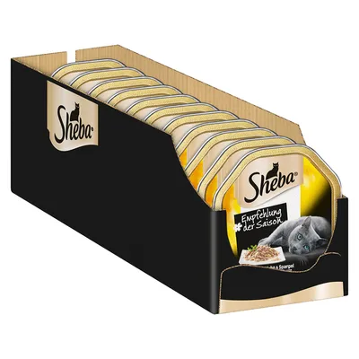 Sheba-kissanruokapakkauksia pahvilaatikossa, pakkauksessa teksti 'Empfehlung der Saison' ja kuva harmaasta kissasta sekä annosruoasta.