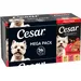 Megapack Cesar 24 x 150 g