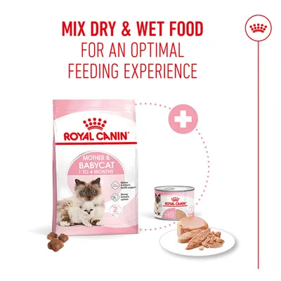 Royal Canin Mother & Babycat 1 to 4 months dry and wet food. Note: Mix dry & wet food for an optimal feeding experience.