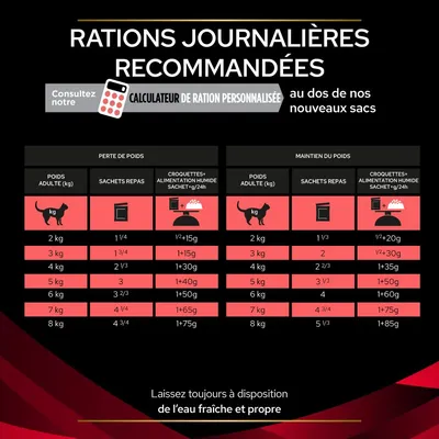 Tableau des rations journalières recommandées pour chats adultes selon le poids : sachets repas et croquettes+humide, perte ou maintien du poids. Calculateur de ration personnalisée indiqué.