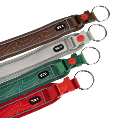 Quattro collari per cani in marrone, grigio, verde e rosso con anelli in metallo e chiusure a scatto. Logo del marchio 'EDDY' visibile su ogni collare.