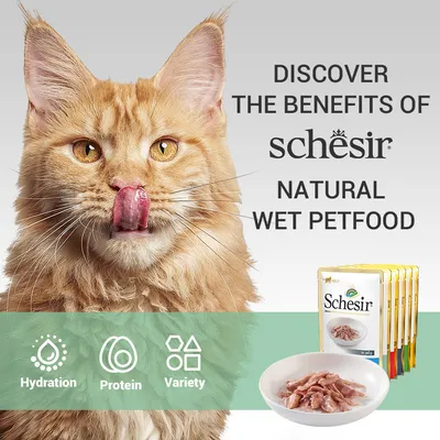 Schesir Natural Wet Petfood, balenie kapsičiek a miska s mokrým krmivom. Ikony: Hydration, Protein, Variety. Text v angličtine: Discover the benefits of Schesir Natural Wet Petfood.