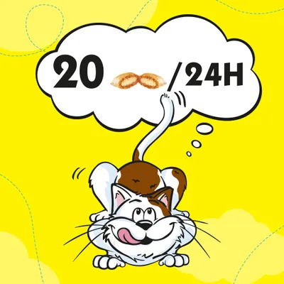 Cartoon cat and dog with thought bubble showing '20' biscuit shapes '/24H' on yellow background