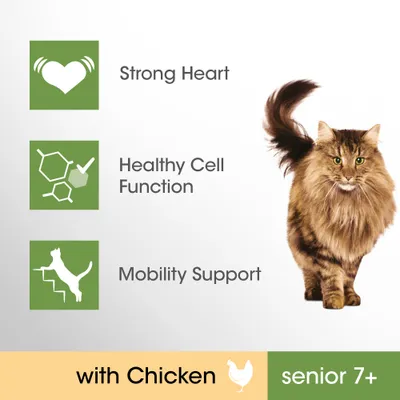 Strong Heart, Healthy Cell Function, Mobility Support. With Chicken. Senior 7+.