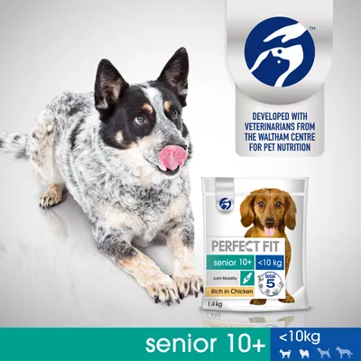 Cane accanto a confezione Perfect Fit senior 10+, meno di 10 kg, 1,4 kg, ricco in pollo. Testo visibile: Joint Mobility, total 5, sviluppato con veterinari del Waltham Centre for Pet Nutrition.