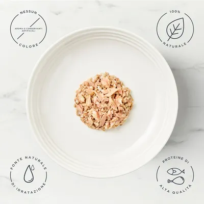 Encore Pacco misto in brodo in lattina 24 x 70 g Umido gatto