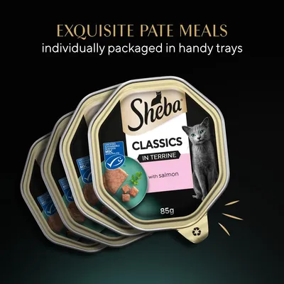 Sheba Classics in Terrine with salmon, 85g trays. Exquisite pate meals, individually packaged in handy trays. Certified sustainable seafood MSC.