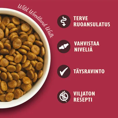 Wild Woodland Walk. Terve ruoansulatus, vahvistaa niveliä, täysravinto, viljaton resepti.