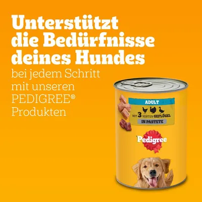 Unterstützt die Bedürfnisse deines Hundes bei jedem Schritt mit PEDIGREE Produkten. Adult, mit 3 Sorten Geflügel in Pastete. Dose mit Hundebild und Pedigree-Logo.