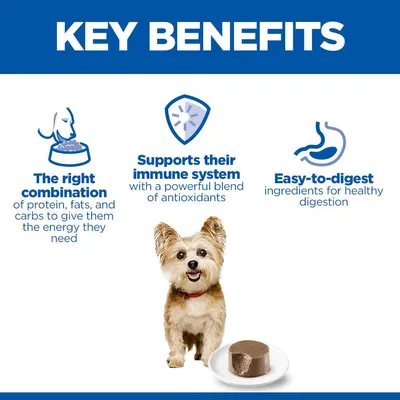 Hill's Science Plan Adult Small & Mini Mousse