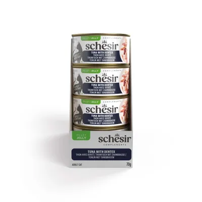 Schesir Complements in Gelee 12 x 70 g